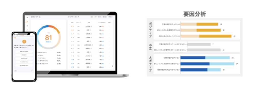 組織サーベイ